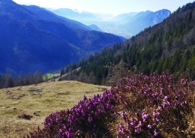 Ferienhaus-Inntal_Umgebung-15