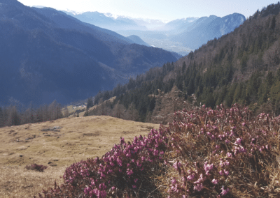 Ferienhaus-Inntal_Umgebung-15