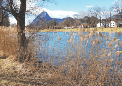 Ferienhaus-Inntal_Umgebung-16