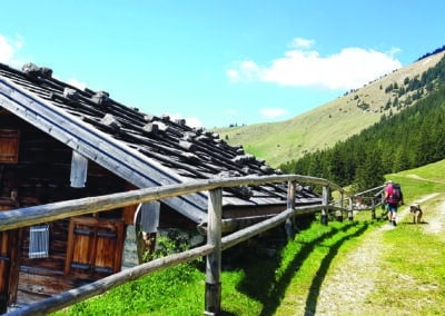 Ferienhaus-Inntal_Umgebung-18