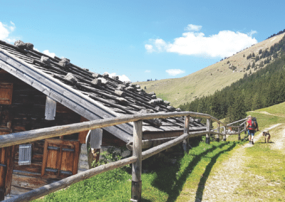 Ferienhaus-Inntal_Wandern mit Hund