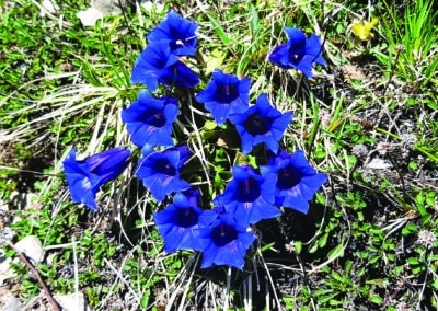 Ferienhaus-Inntal_Umgebung-20