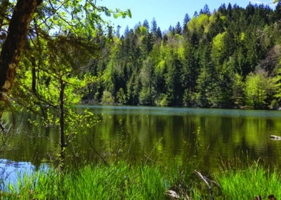 Ferienhaus-Inntal_Umgebung-3 See