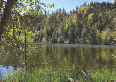 Ferienhaus-Inntal_Umgebung-3 See