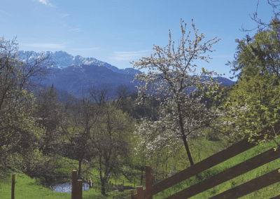 Ferienhaus-Inntal_Umgebung-4