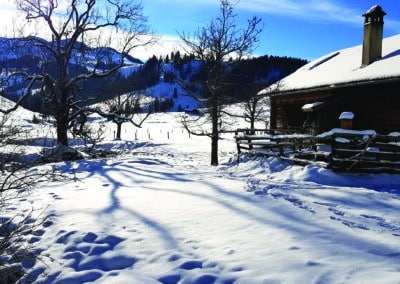 Ferienhaus-Inntal_Umgebung-5