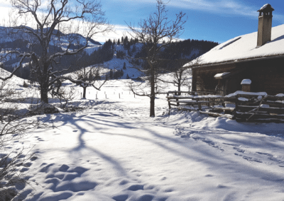 Ferienhaus-Inntal_Umgebung-5