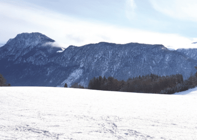 Ferienhaus-Inntal_Umgebung-6